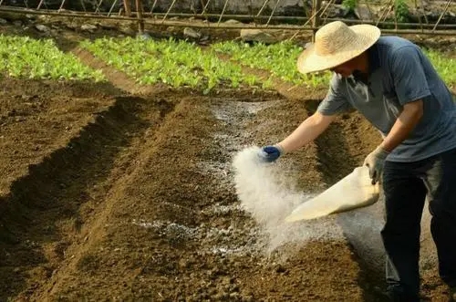 土壤常規檢測45項包含哪些指標？